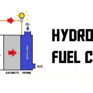 Hydrogen Fuel Cell